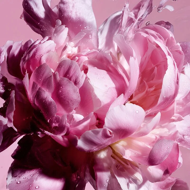 Viktor & Rolf Flowerbomb Pretty Peony Eau de Parfum pentru femei 100 ml