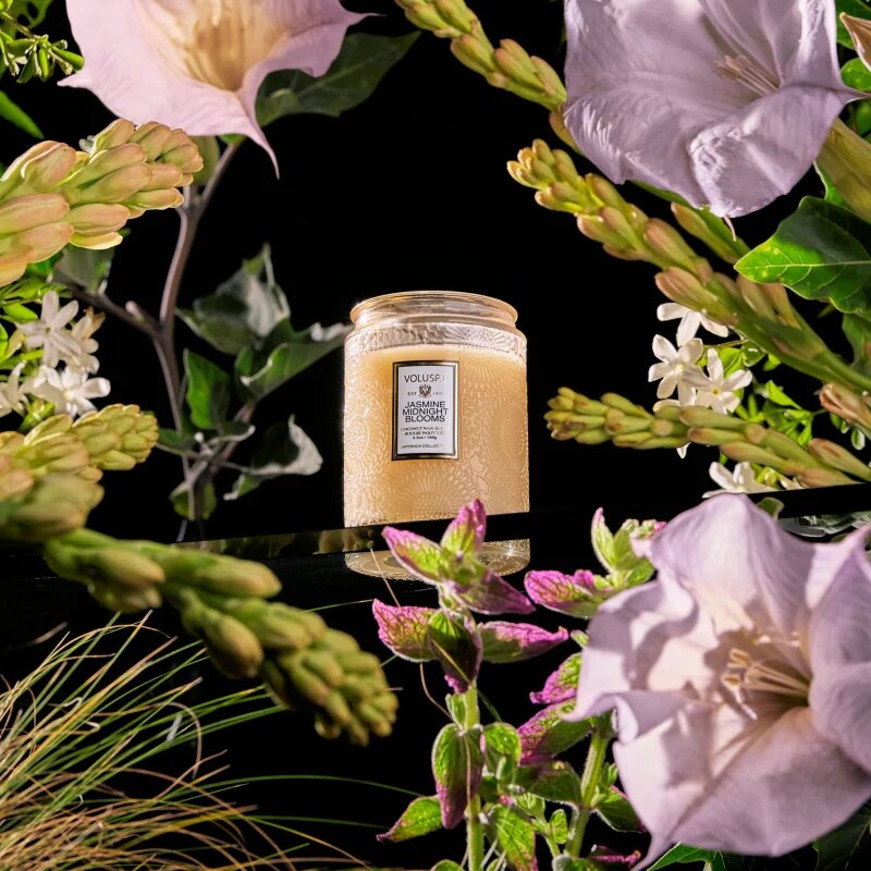 VOLUSPA Japonica Jasmine Midnight Blooms lumânare parfumată 156 g