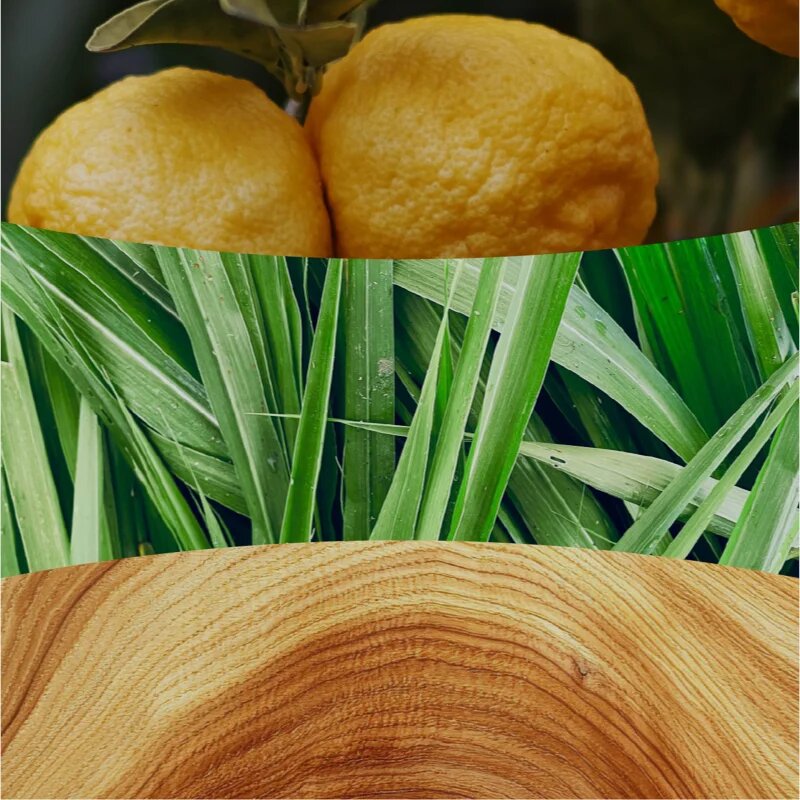 Woodwick Yuzu & Vetiver lumânare parfumată cu fitil din lemn 610 g