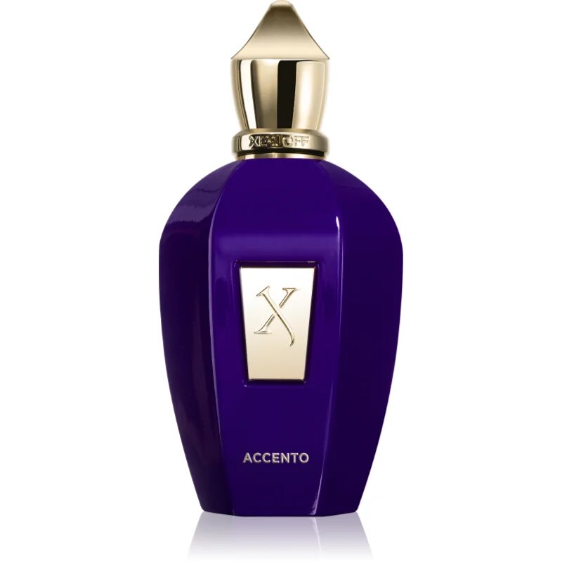 Xerjoff Accento Eau de Parfum unisex 100 ml