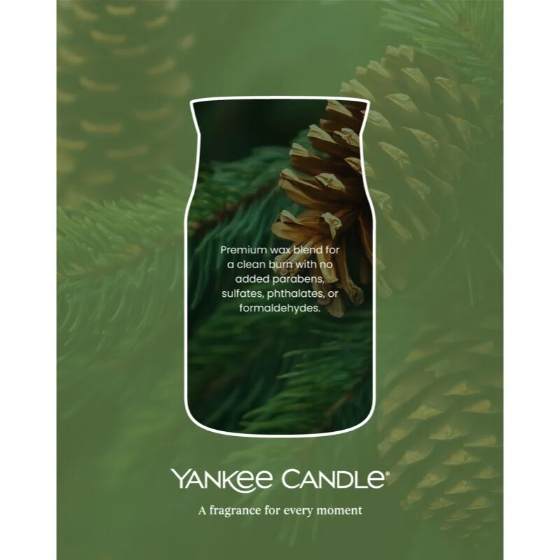 Yankee Candle Balsam & Cedar Fireside lumânare votiv 37 g