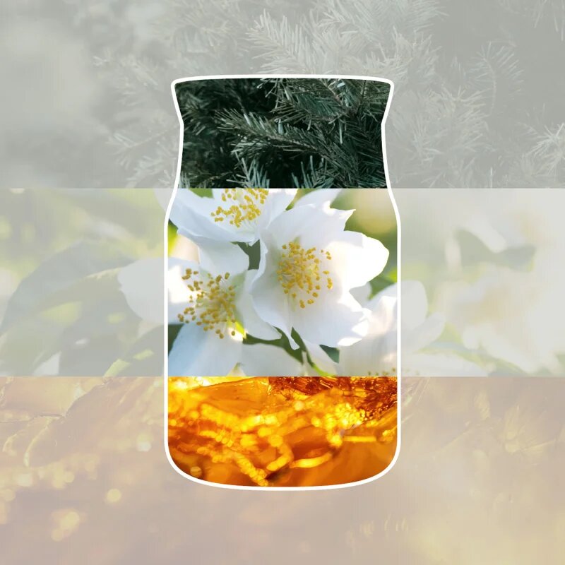 Yankee Candle Silver Birch lumânare parfumată 567 g
