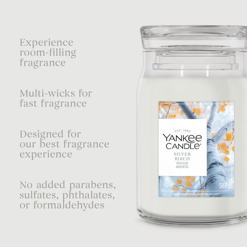 Yankee Candle Silver Birch lumânare parfumată 567 g