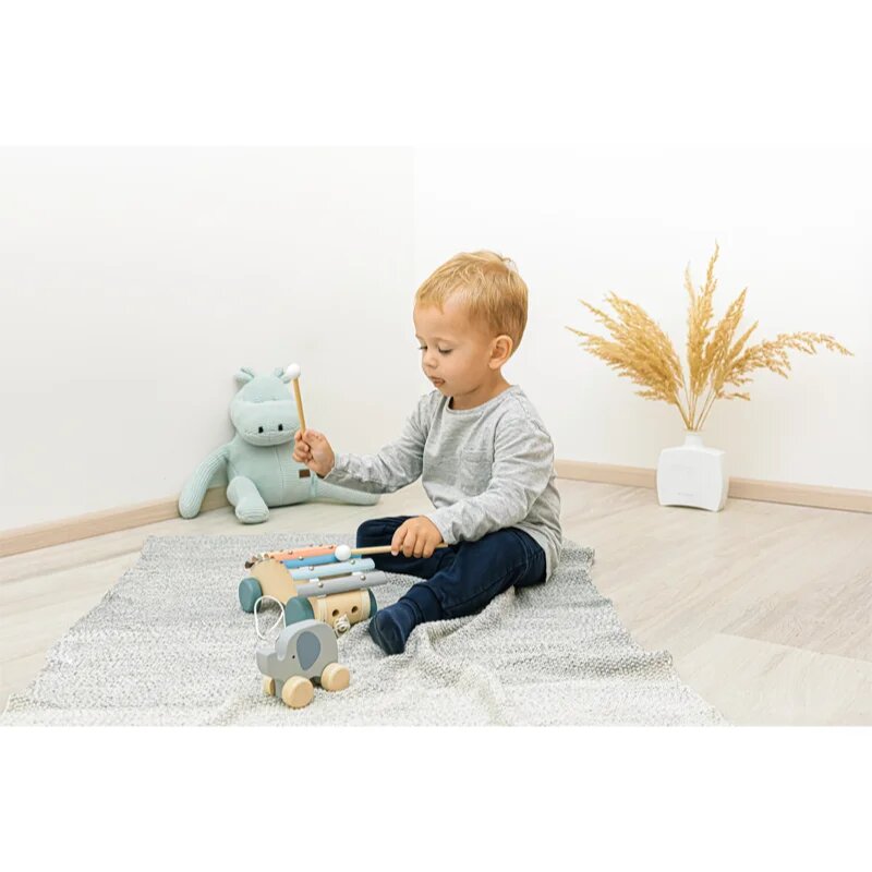 Zopa Wooden Pull Xylophone xilofon de tras din lemn 1 buc