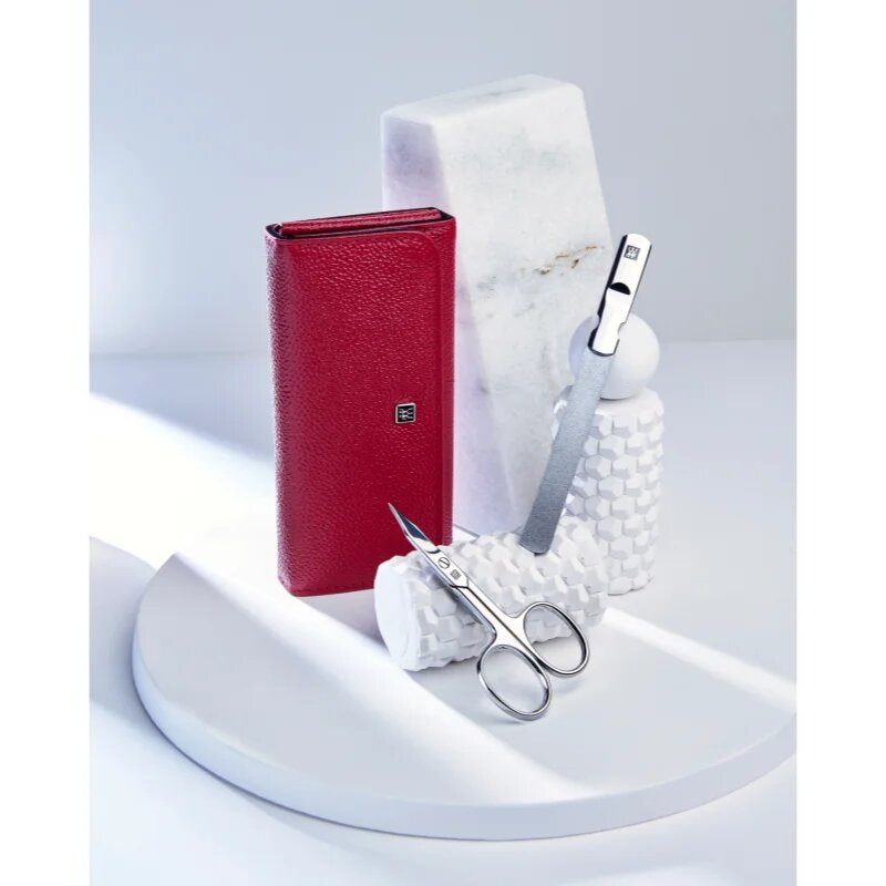 Zwilling Classic Inox Set de manichiură geanta din piele